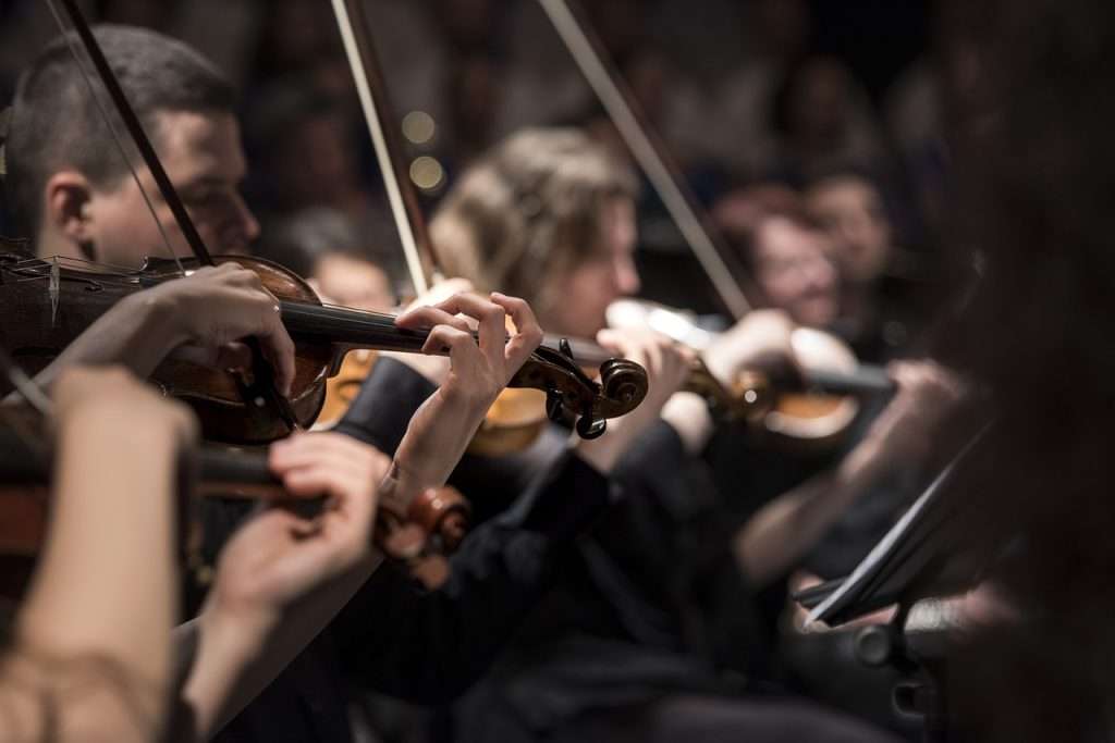 5 Principles of Visual Symphony in Website Design